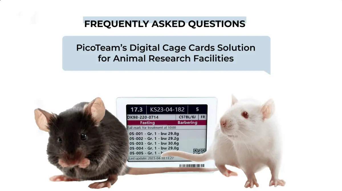 Video FAQ thumbnail showing black and white mice with a PicoTeam digital cage card displaying animal details.