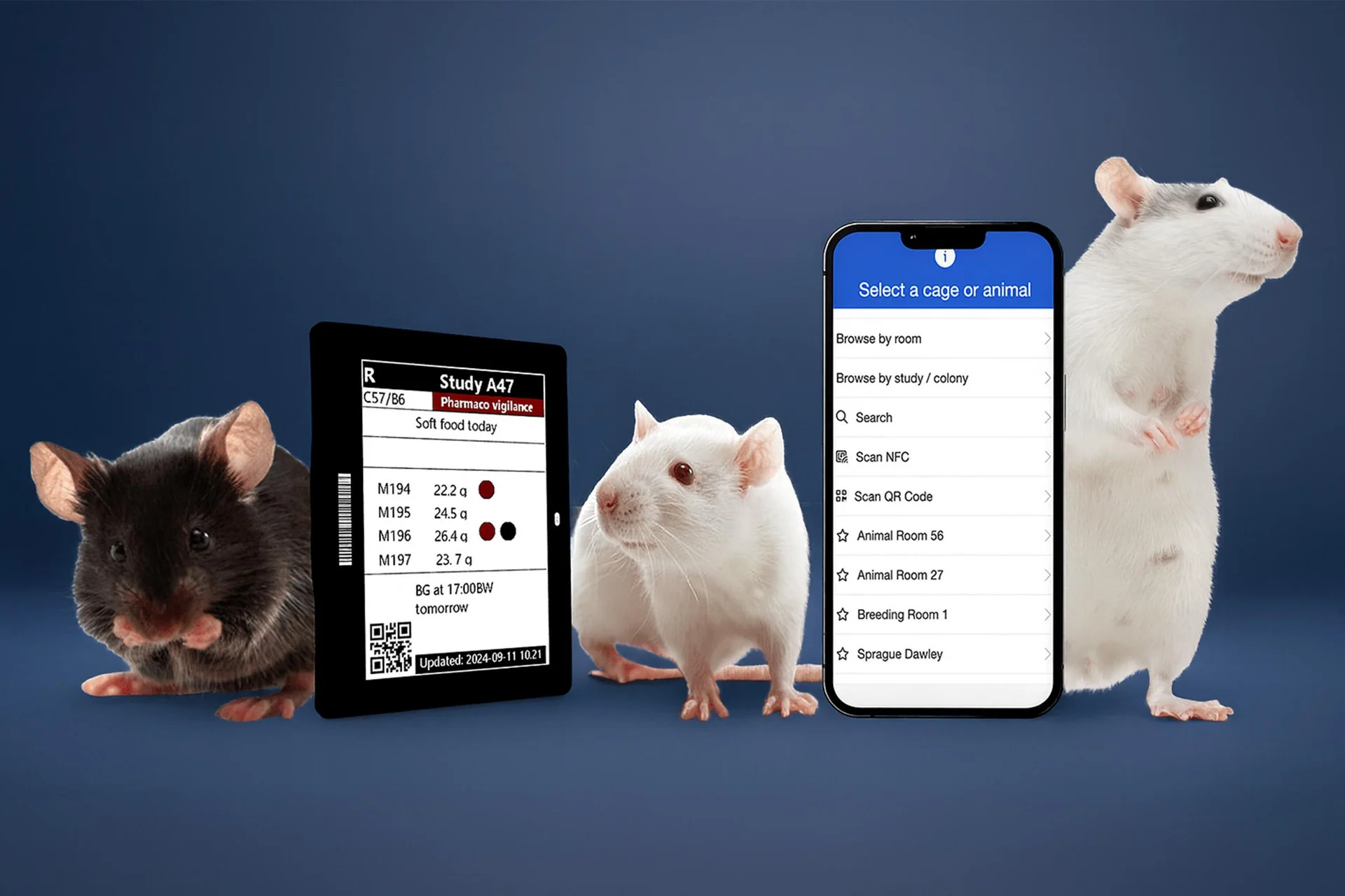 Mice with a PicoTeam digital cage card and mobile app screen, symbolizing the shift from paper to digital animal tracking.