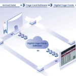 Digital Cage Cards Solution