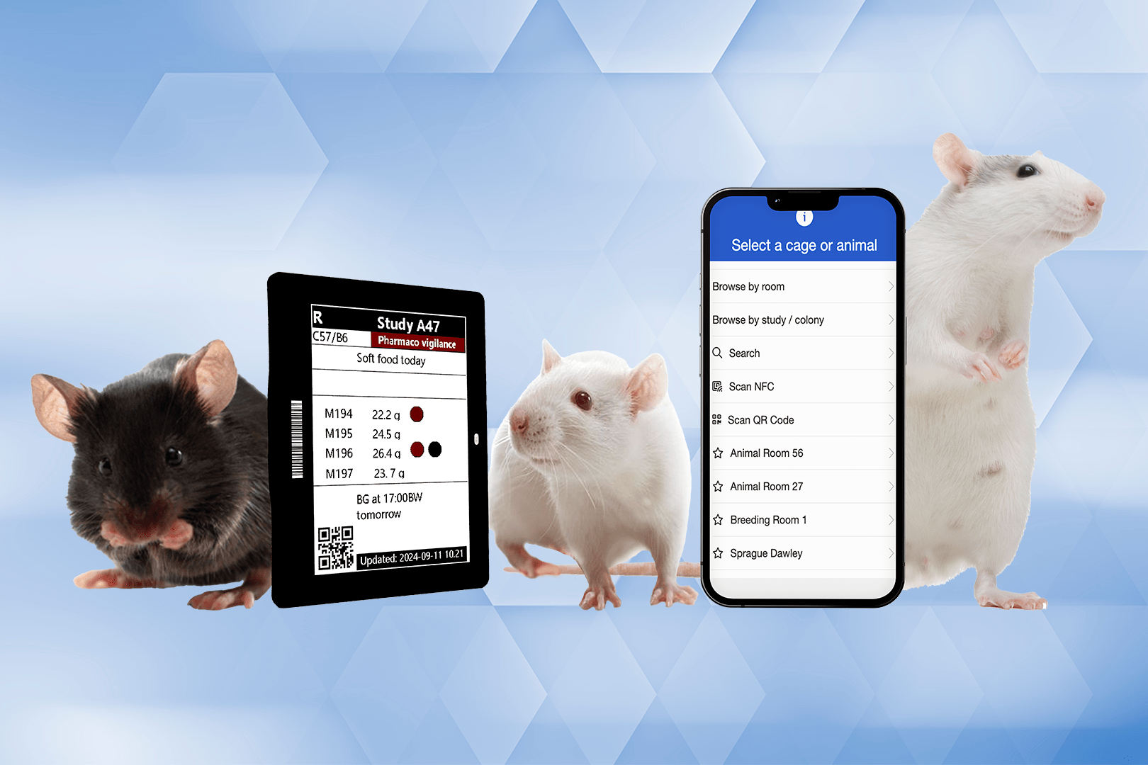 digital cage cards with mobile app solution