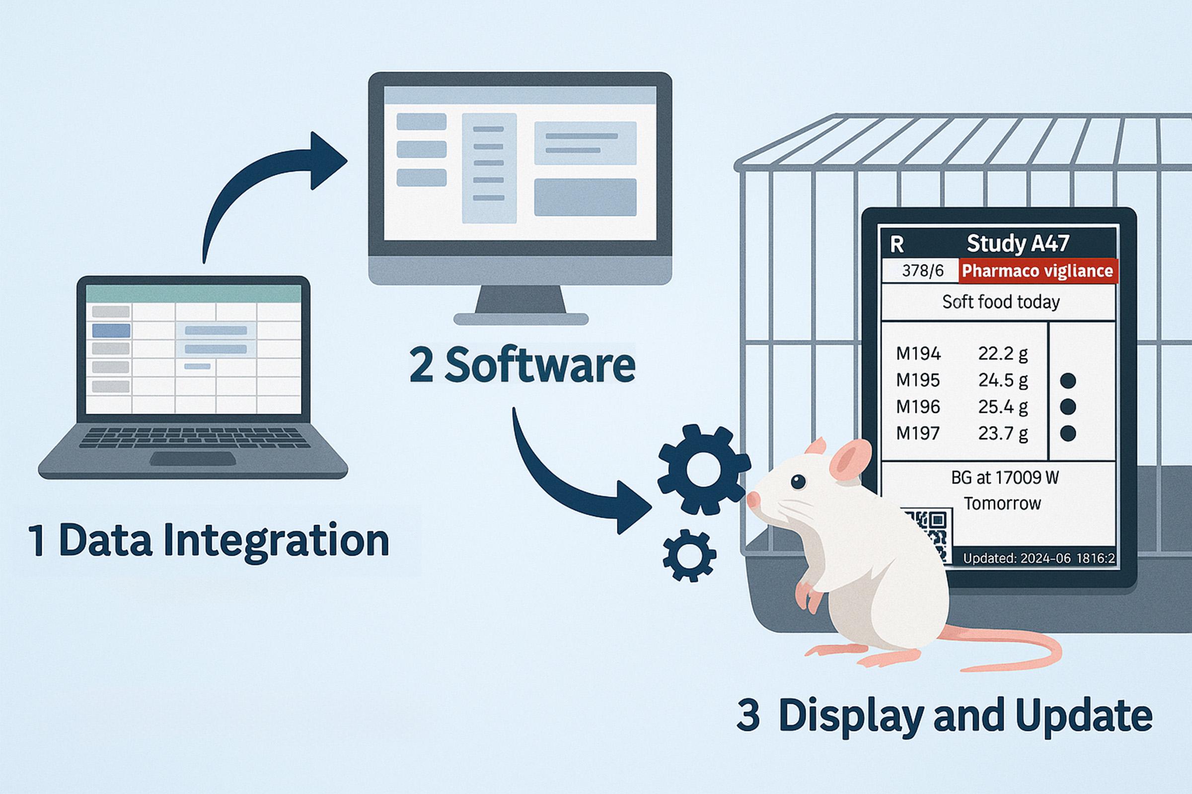Diagram showing 3-step process for implementing Digital Cage Cards with animal data, cage card software, and real-time card updates.