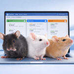 Three laboratory mice in front of a laptop showing the Picoteam InVivo software interface for digital animal facility management, breeding, and in vivo research operations.