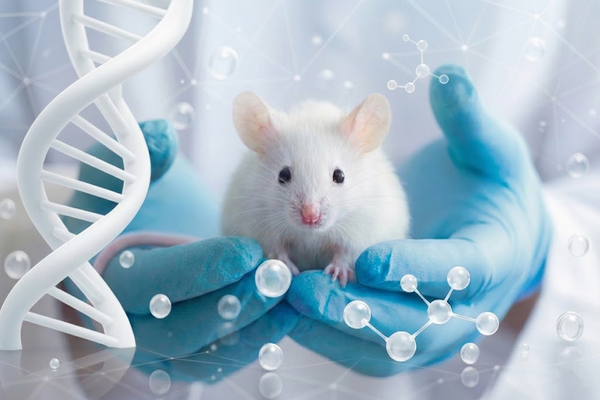 Laboratory mouse held in gloved hands with DNA helix illustrating structured in vivo research workflows and animal facility management