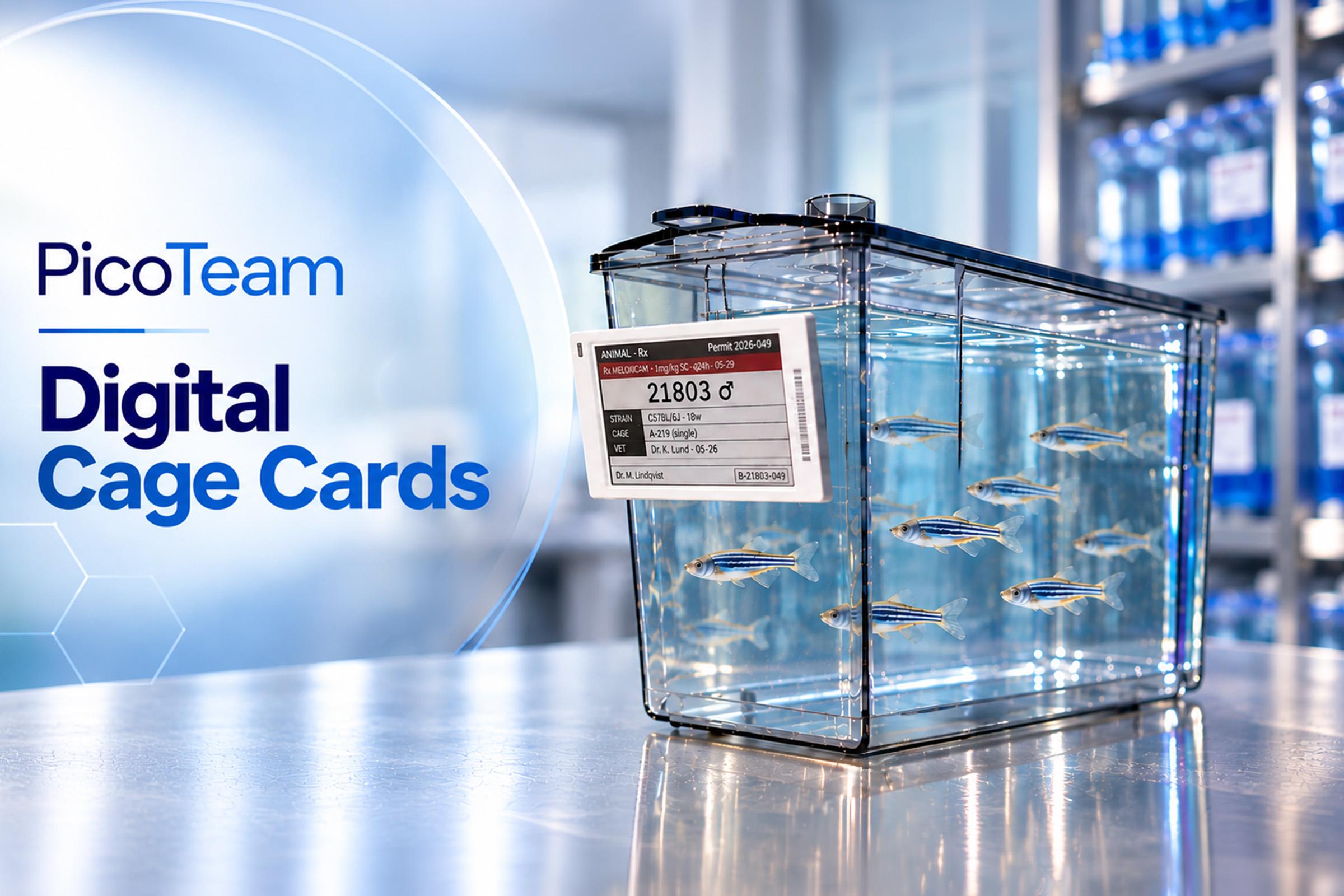 PicoTeam Digital Cage Card beside a zebrafish tank in a modern animal research facility